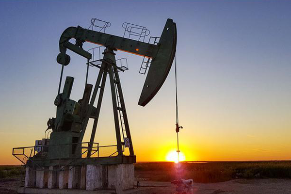 Bionic technology in petroleum engineering